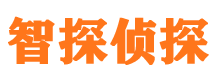 平阴外遇调查取证